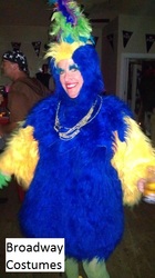 Picture of our Parrot costume