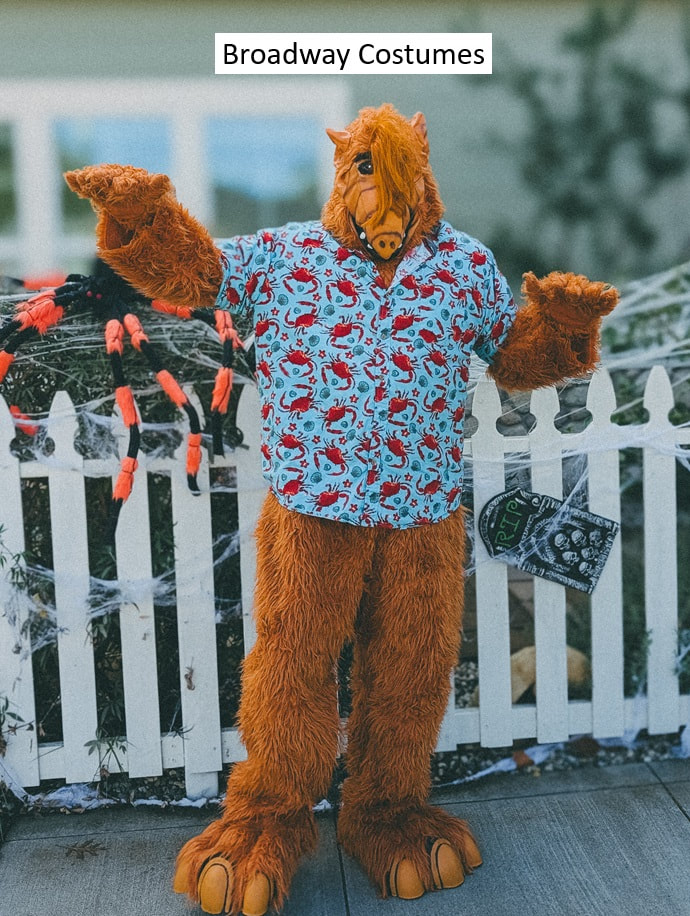 Picture of our Alf Costume