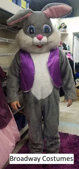 Picture of our grey Easter Bunny costume