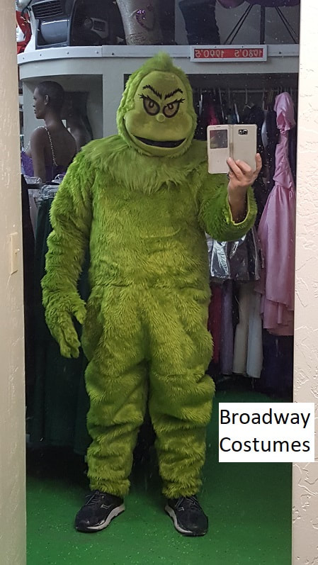 picture of our grinch costume