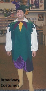 Picture of one of our Jester costumes