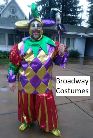 Picture of one of our Jester costumes