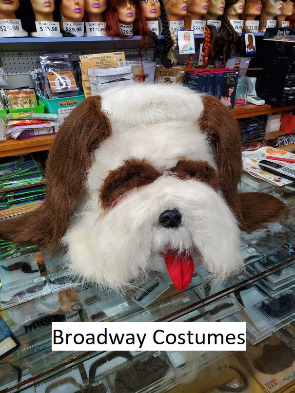 Picture of our St. Bernard dog mascot head