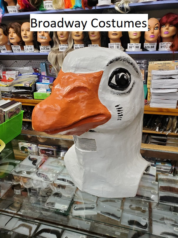 Picture of our goose mascot head