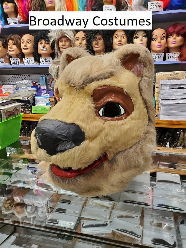 Picture of our lion mascot head