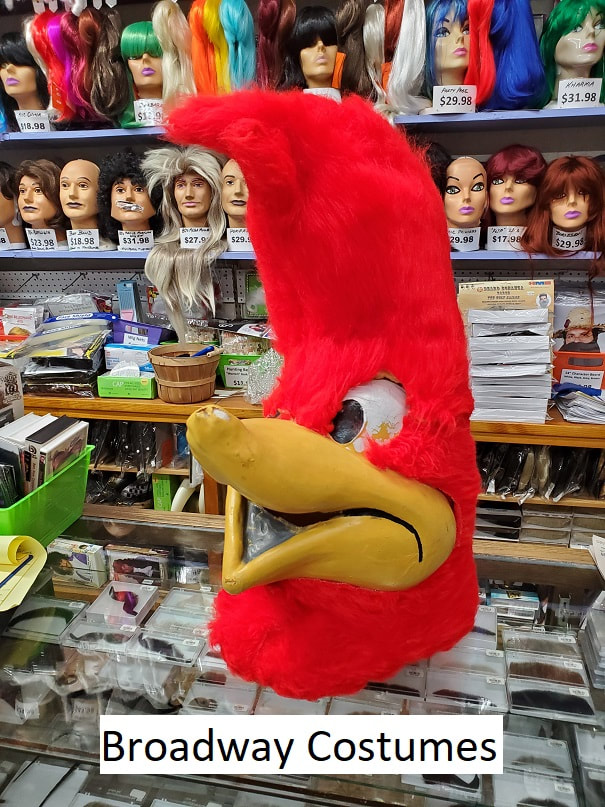 Picture of our woodpecker mascot head