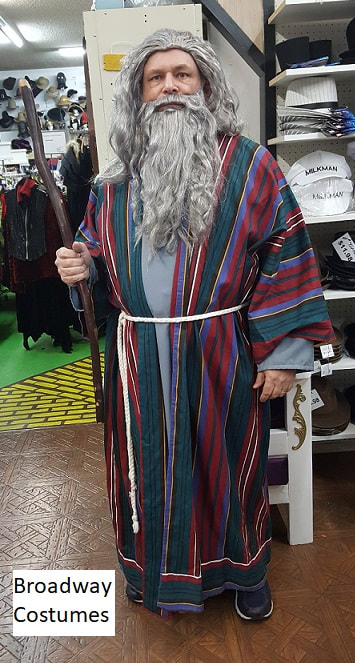 Picture of one of our Biblical style costumes