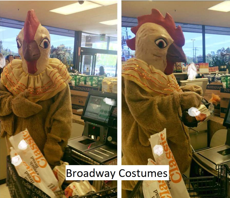 picture of our rooster costume