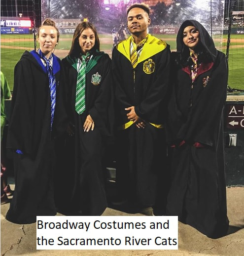 Picture of the Sacramento River Cats Cat Crew as Harry Potter Wizards