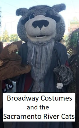 Picture of Dinger of the Sacramento River Cats as Dumbledore