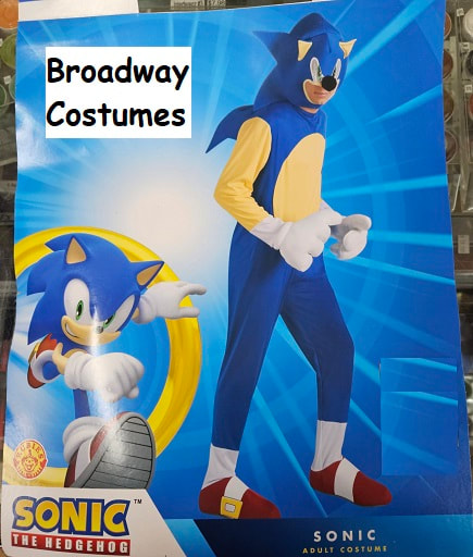 Picture of our sonic the hedgehog costume