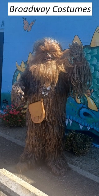 Picture of our Deluxe Chewbacca costume from Star Wars