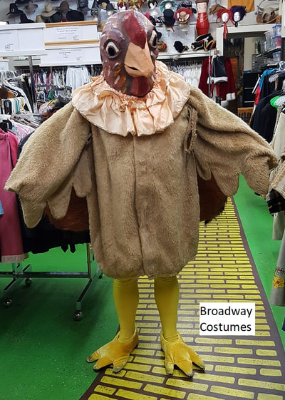 Picture of our Turkey costume - front view